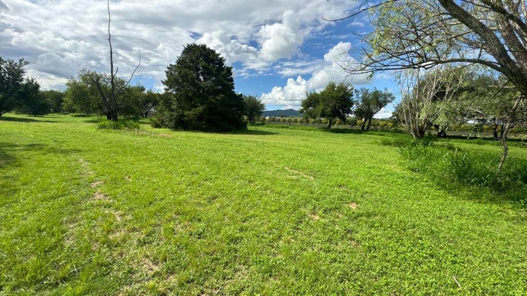 TERRENO EN VALLE DEL GOLF EN VEENTA-IDEAL PARA INVERSION - imagen 13