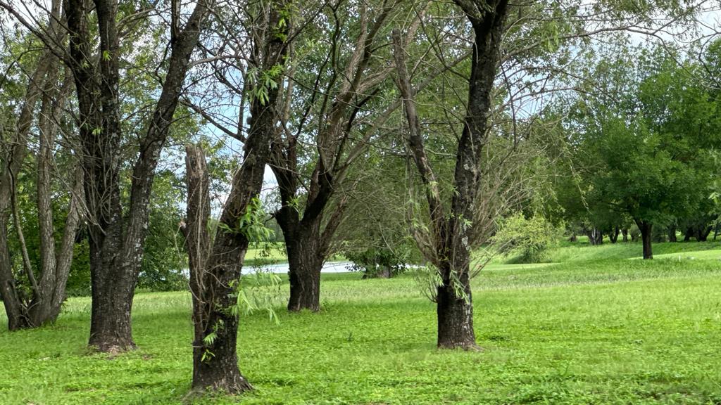 TERRENO EN VALLE DEL GOLF EN VEENTA-IDEAL PARA INVERSION - imagen 15