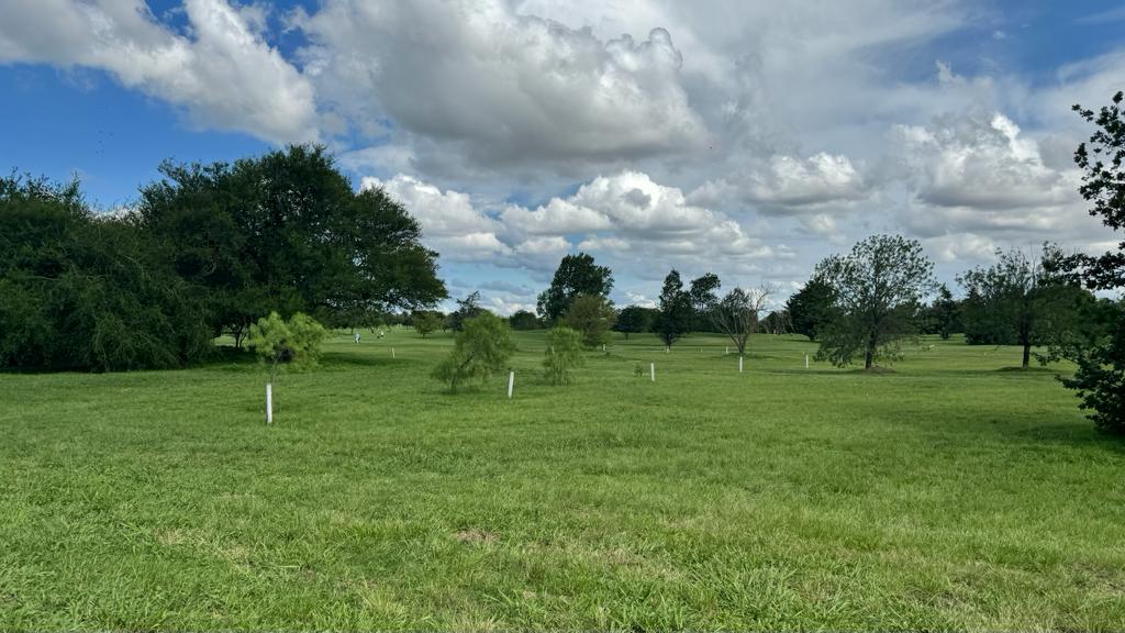 TERRENO EN VALLE DEL GOLF EN VEENTA-IDEAL PARA INVERSION - imagen 22