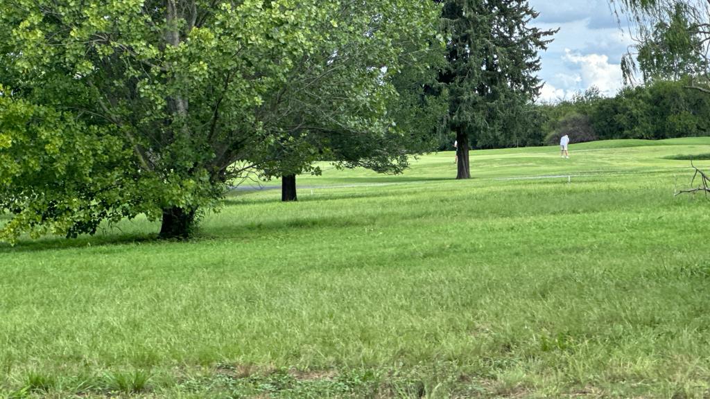 TERRENO EN VALLE DEL GOLF EN VEENTA-IDEAL PARA INVERSION - imagen 8