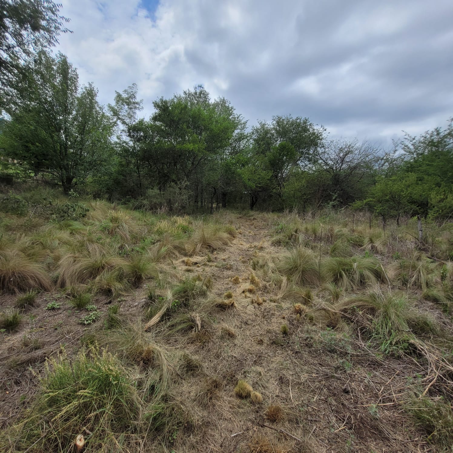 SE VENDE TERRENO EN COSQUIN BARRIO EL CONDADO