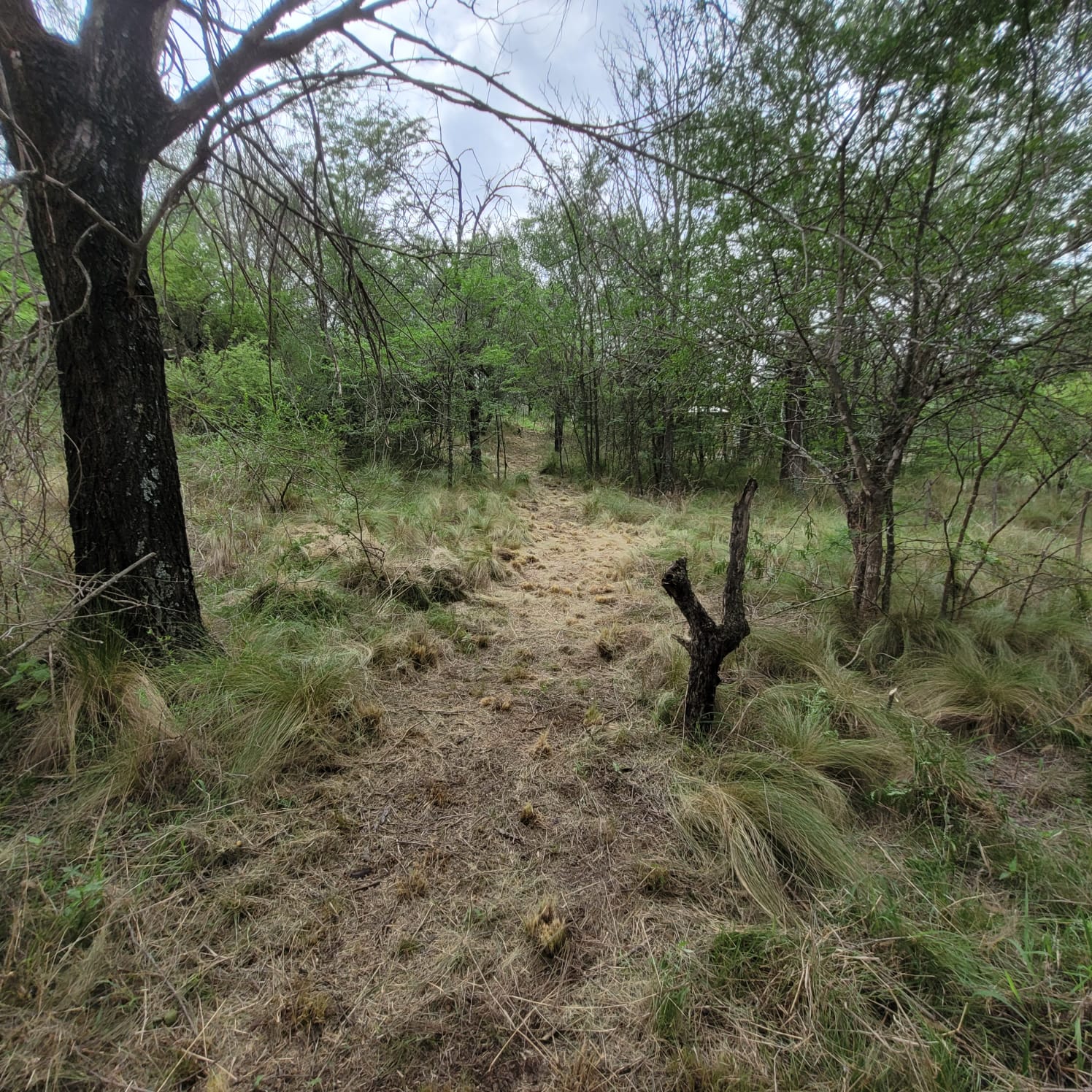 SE VENDE TERRENO EN COSQUIN BARRIO EL CONDADO