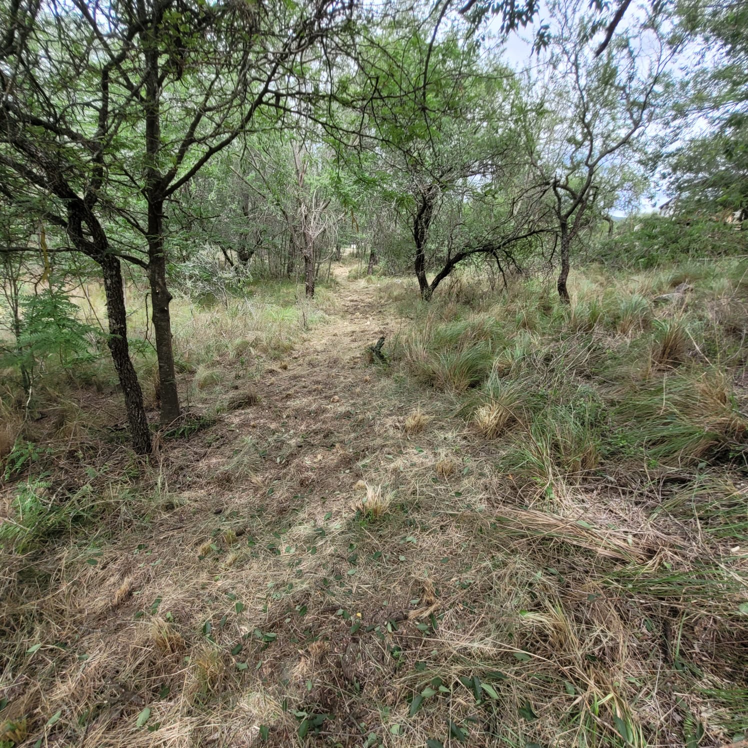 SE VENDE TERRENO EN COSQUIN BARRIO EL CONDADO