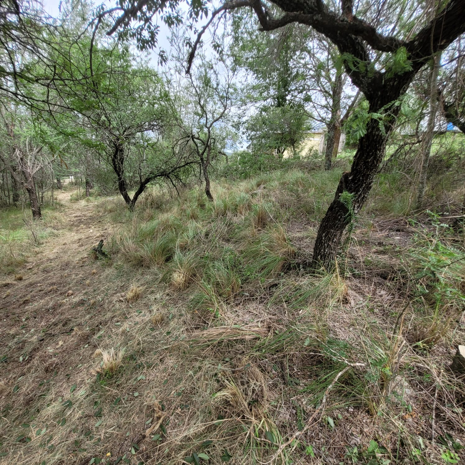 SE VENDE TERRENO EN COSQUIN BARRIO EL CONDADO