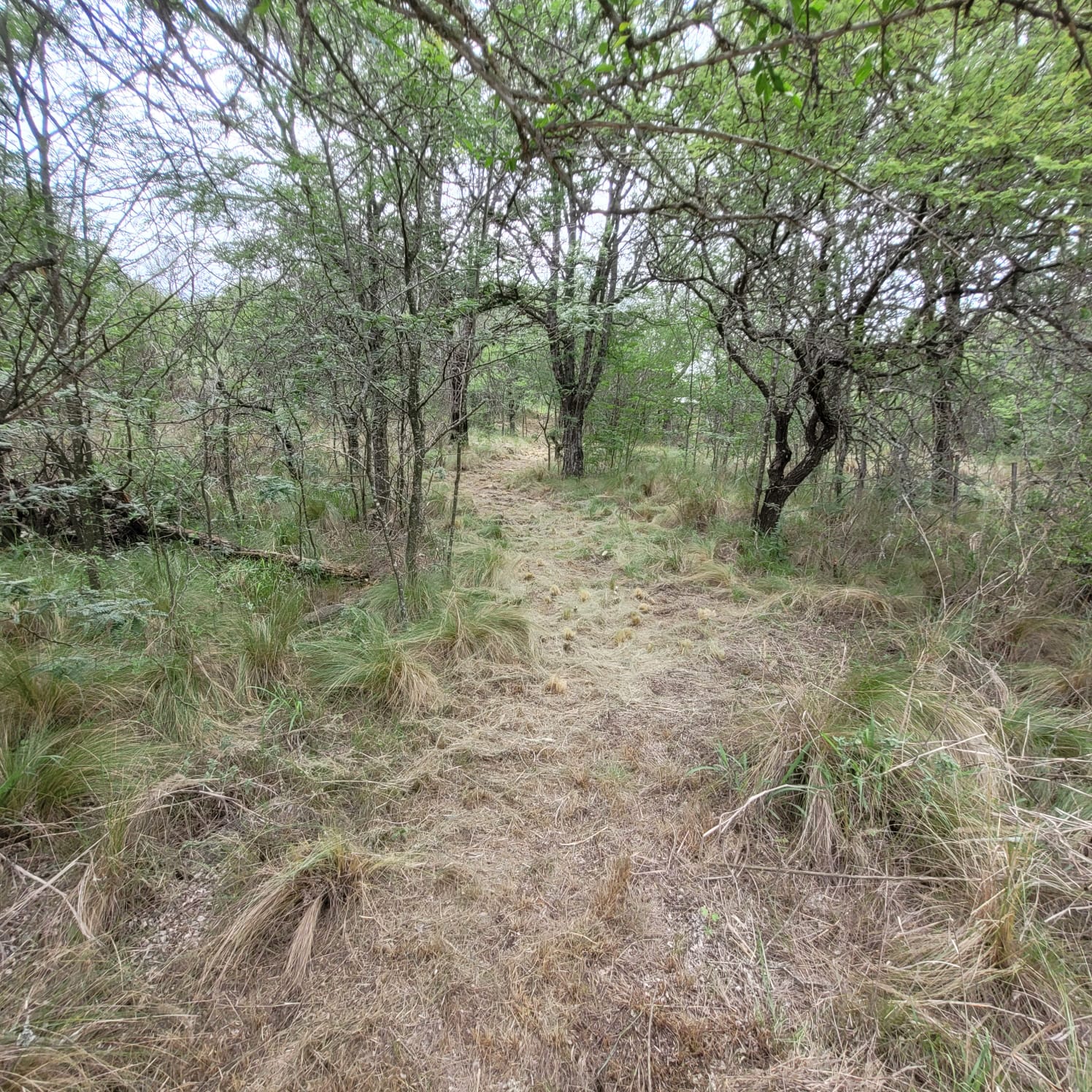 SE VENDE TERRENO EN COSQUIN BARRIO EL CONDADO