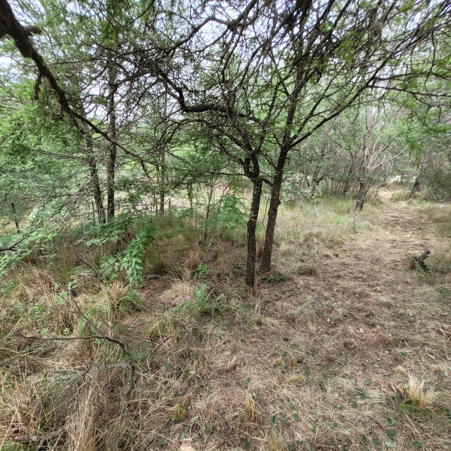 SE VENDE TERRENO EN COSQUIN BARRIO EL CONDADO