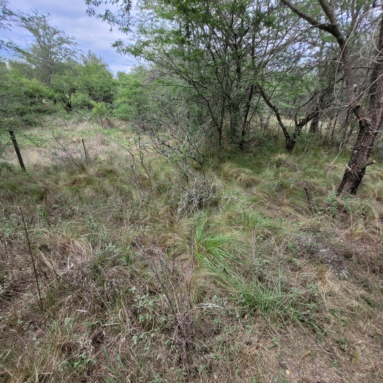 SE VENDE TERRENO EN COSQUIN BARRIO EL CONDADO