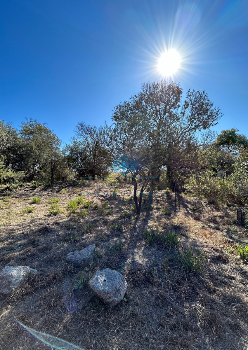 VENTA-LOTE 280M2-VILLA ANIMI-LA GRANJA