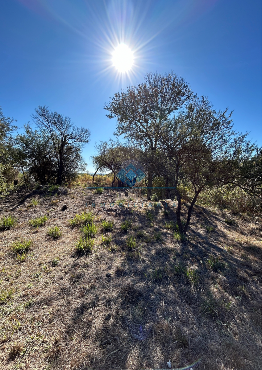 VENTA-LOTE 280M2-VILLA ANIMI-LA GRANJA