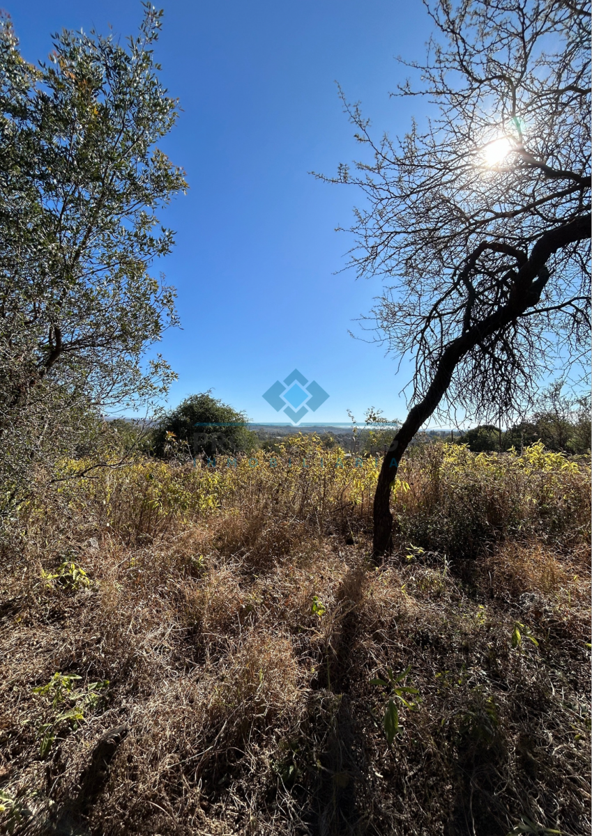 VENTA-LOTE 280M2-VILLA ANIMI-LA GRANJA