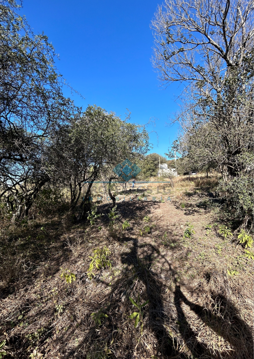 VENTA-LOTE 280M2-VILLA ANIMI-LA GRANJA