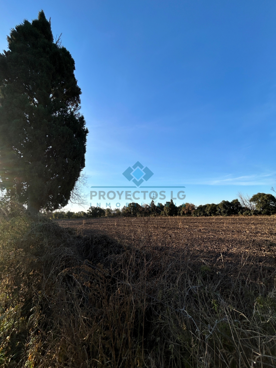 VENTA - 12.5 HECTÁREAS - COLONIA CAROYA