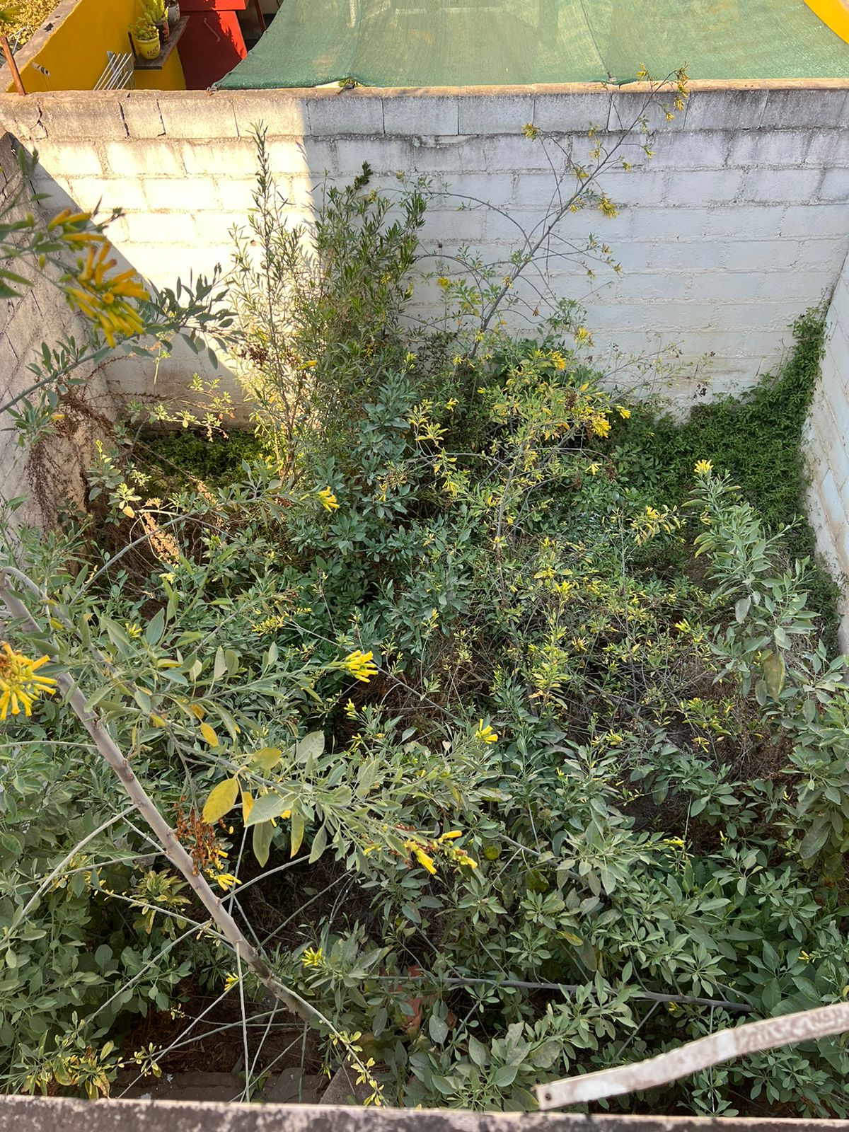 DUPLEX DE 3 DORM. A RECICLAR EN B SAN SALVADOR - OPORTUNIDAD