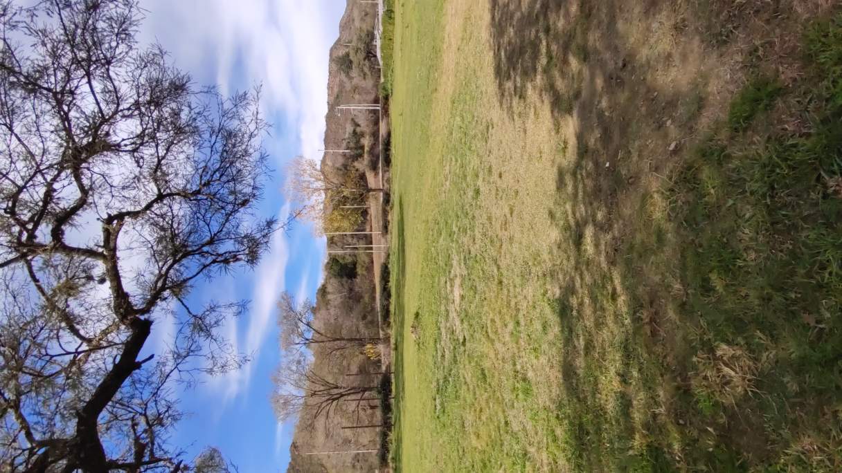 Hectárea Parquizada Con Amplio Frente Sobre Ruta 5 - Tránsito De Turismo Todo El Año - Valle De Cala