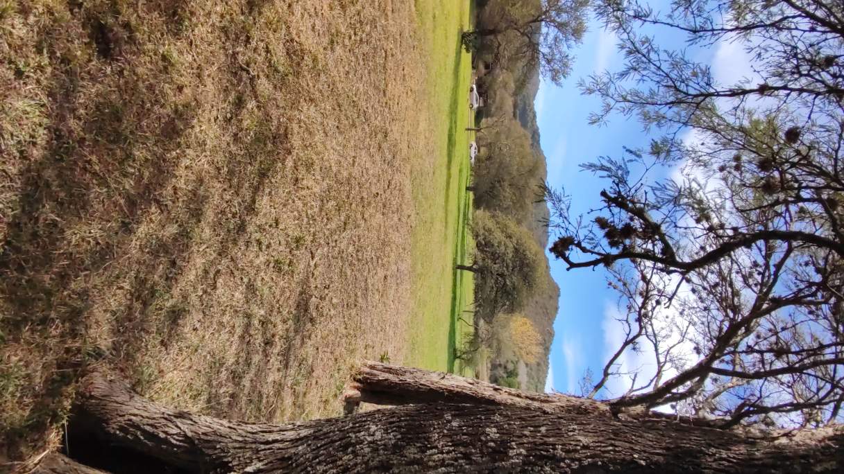 Hectárea Parquizada Con Amplio Frente Sobre Ruta 5 - Tránsito De Turismo Todo El Año - Valle De Cala