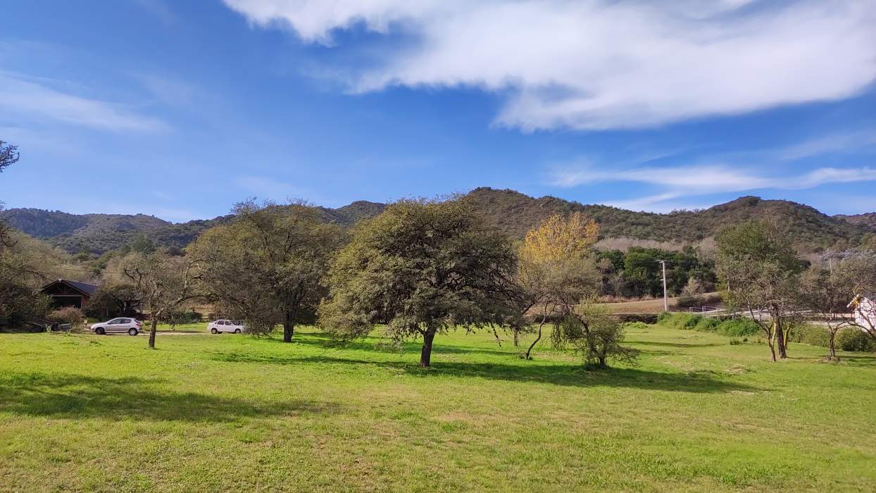 Hectárea Parquizada Con Amplio Frente Sobre Ruta 5 - Tránsito De Turismo Todo El Año - Valle De Cala