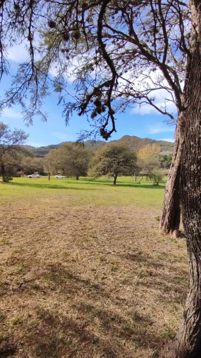 Hectárea Parquizada Con Amplio Frente Sobre Ruta 5 - Tránsito De Turismo Todo El Año - Valle De Cala