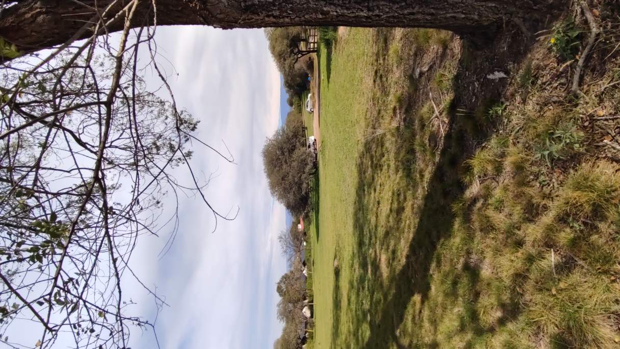 Hectárea Parquizada Con Amplio Frente Sobre Ruta 5 - Tránsito De Turismo Todo El Año - Valle De Cala