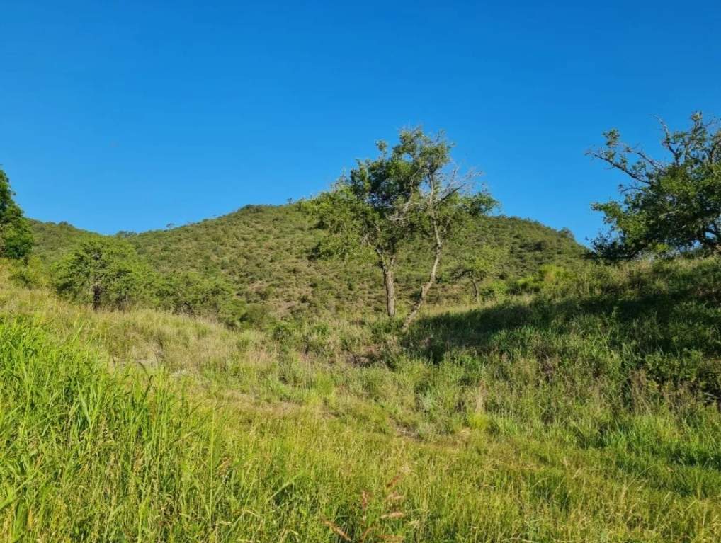 Lote De Ensueño En Los Milagros, El Mejor Barrio Privado De Santa Rosa De Calamuchita