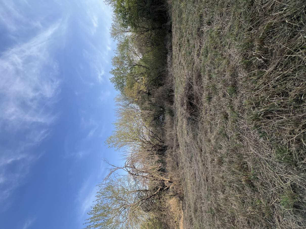 Lotes en Lomas de Mendiolaza