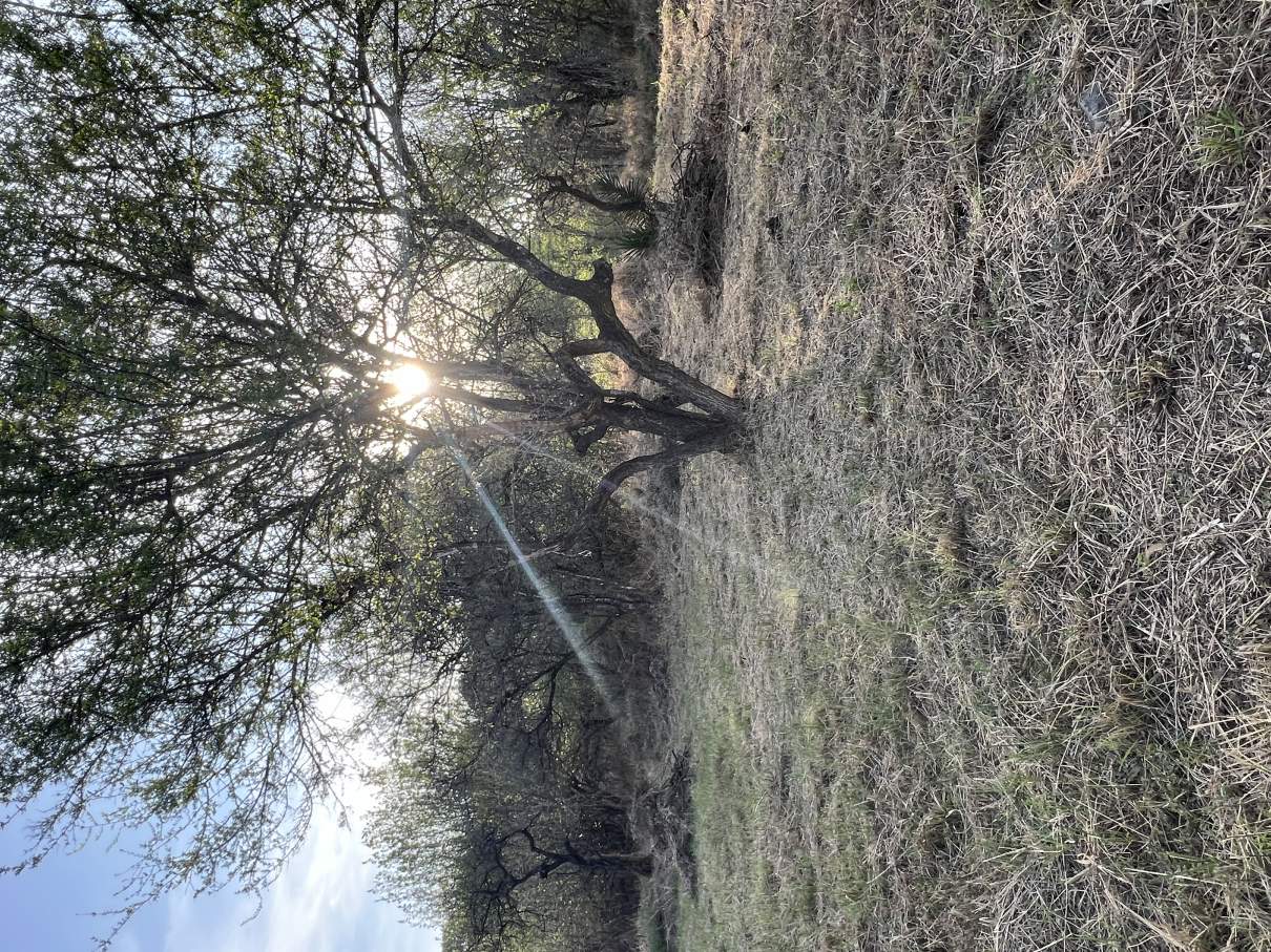 Lotes en Lomas de Mendiolaza