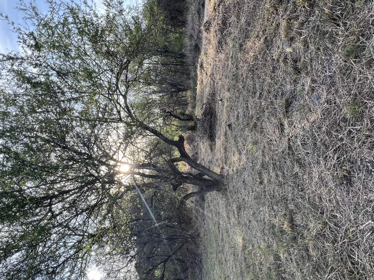 Lotes en Lomas de Mendiolaza