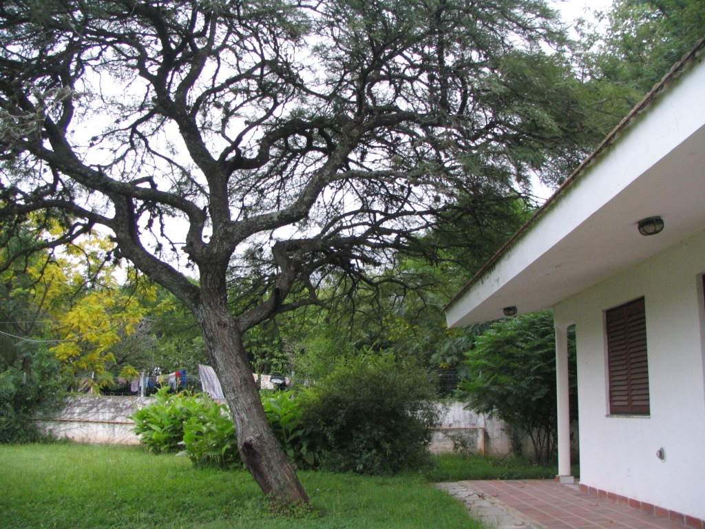 Venta 2 casas lote 1208m sobre Ruta Zona Comercial Ideal  Inversión  Anisacate