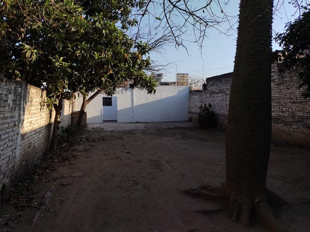 CASA   DEPARTAMENTO UBICADA EN BARRIO LAS FLORES