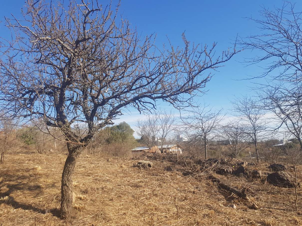 Valle Hermoso - Ba. Villa Angeles - 3 LOTES CONTIGUOS (venta conjunta o individual)