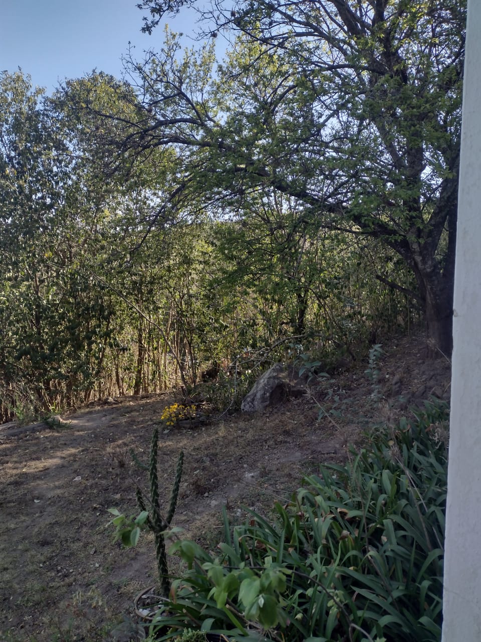 Casa APTTO BANCOR en Villa Cerro Azul