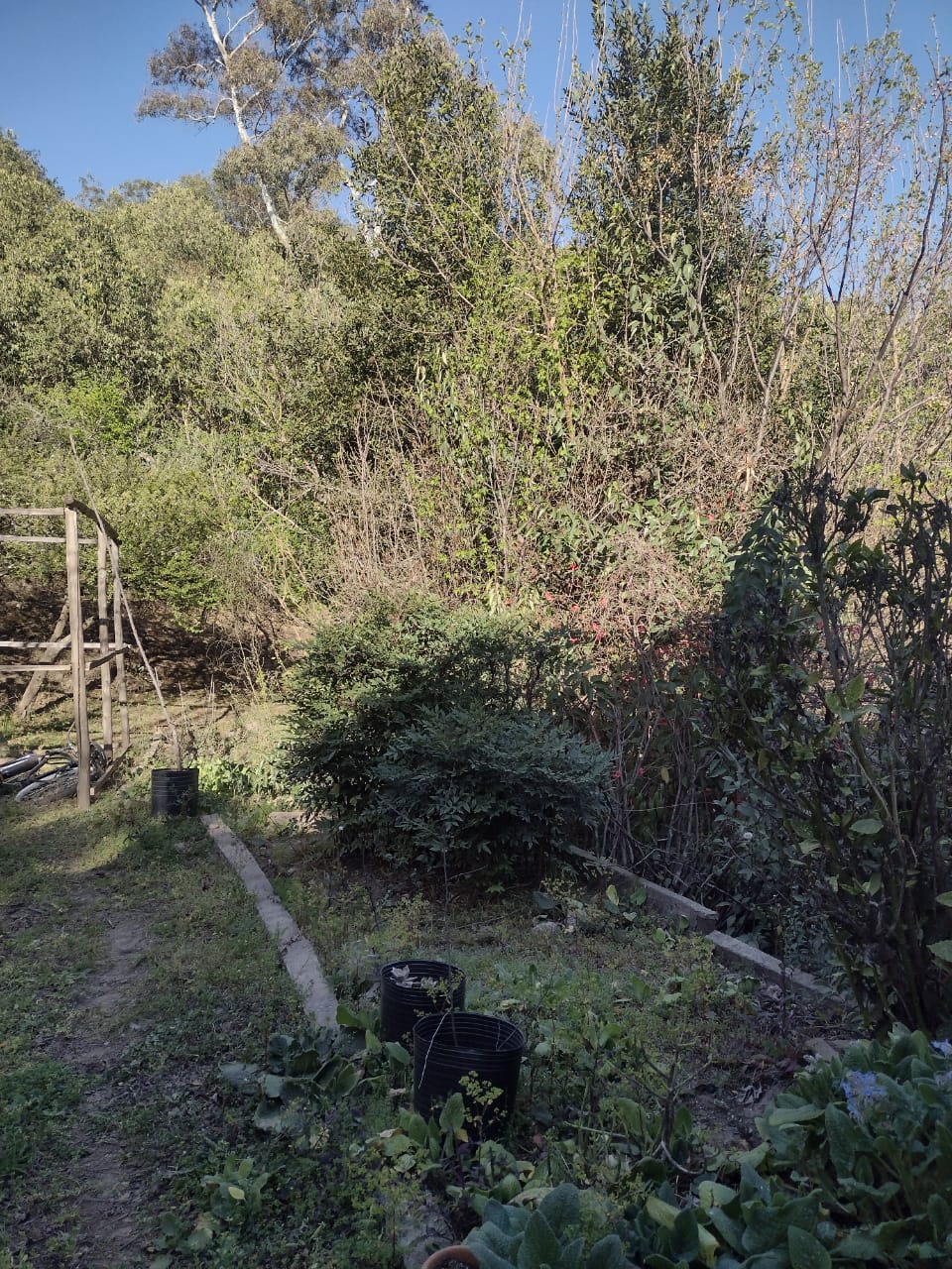 Casa APTTO BANCOR en Villa Cerro Azul