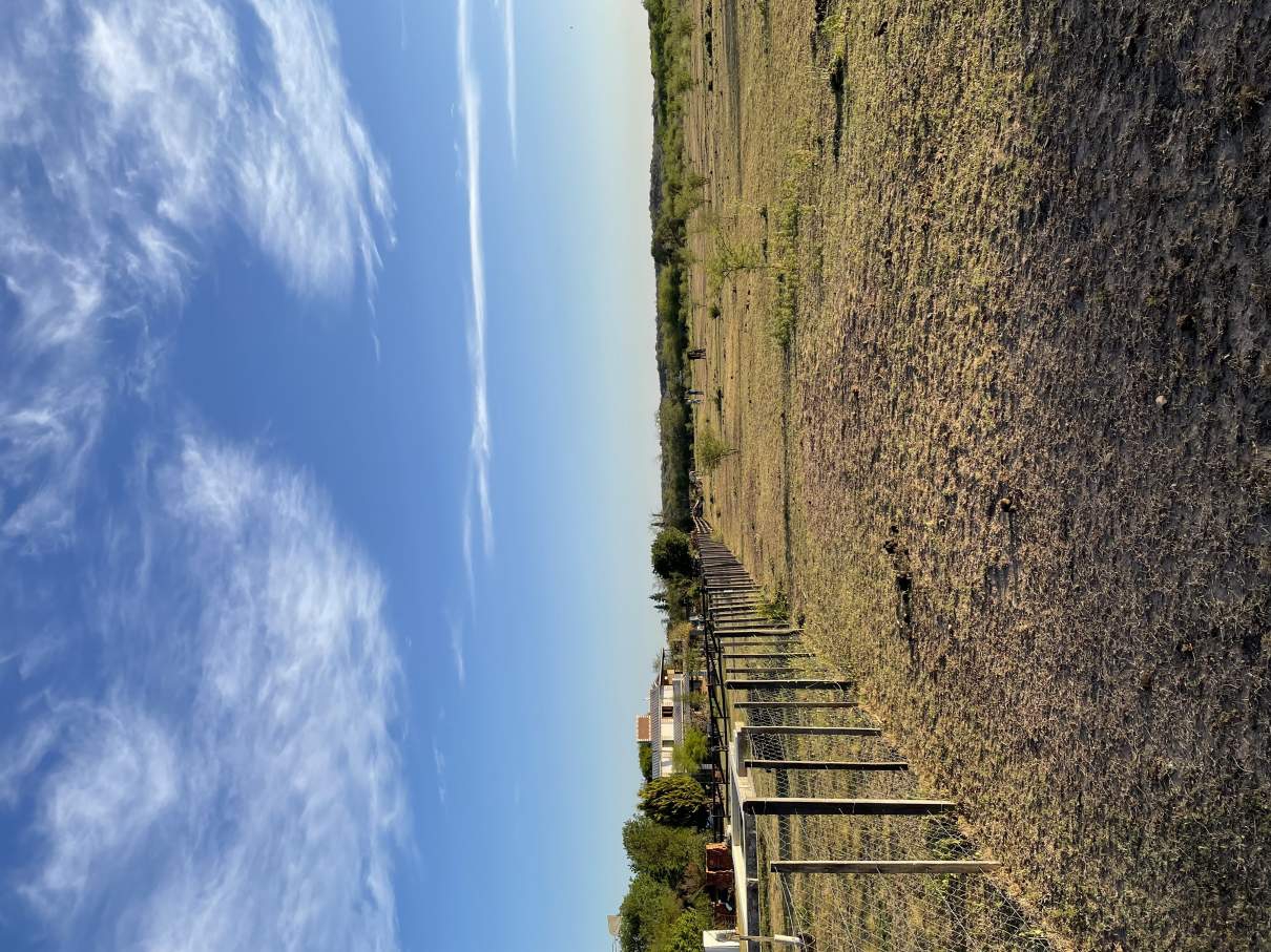 Terreno La Graja Los Molles