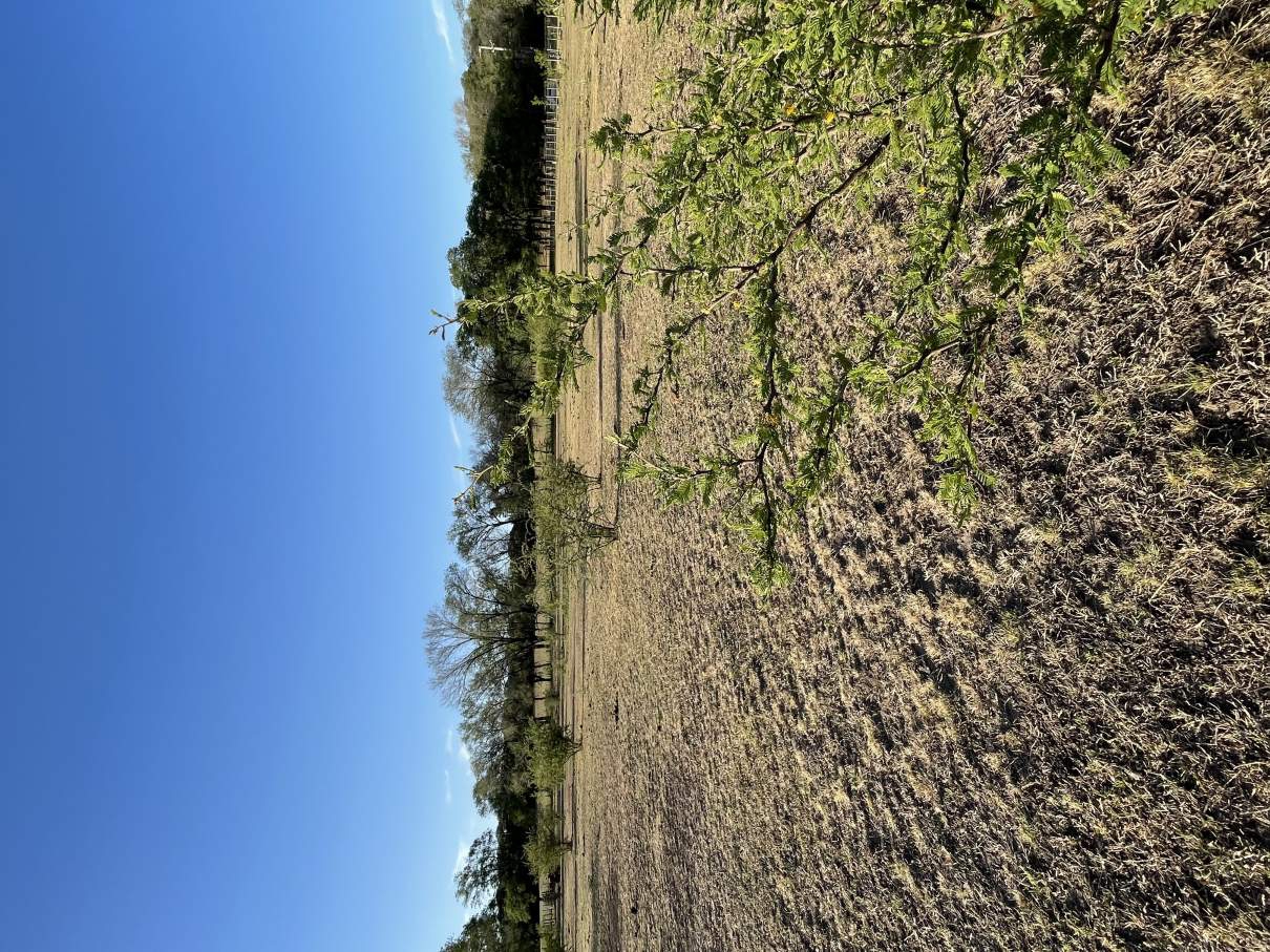 Terreno La Graja Los Molles