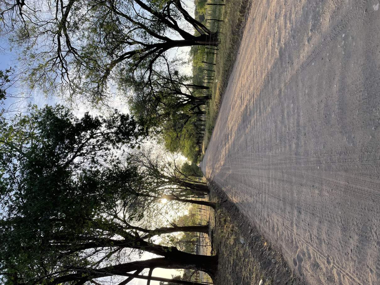 Terreno La Graja Los Molles