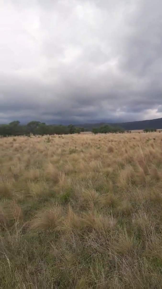 Lotes en mejor zona de Calamuchita - Escritura