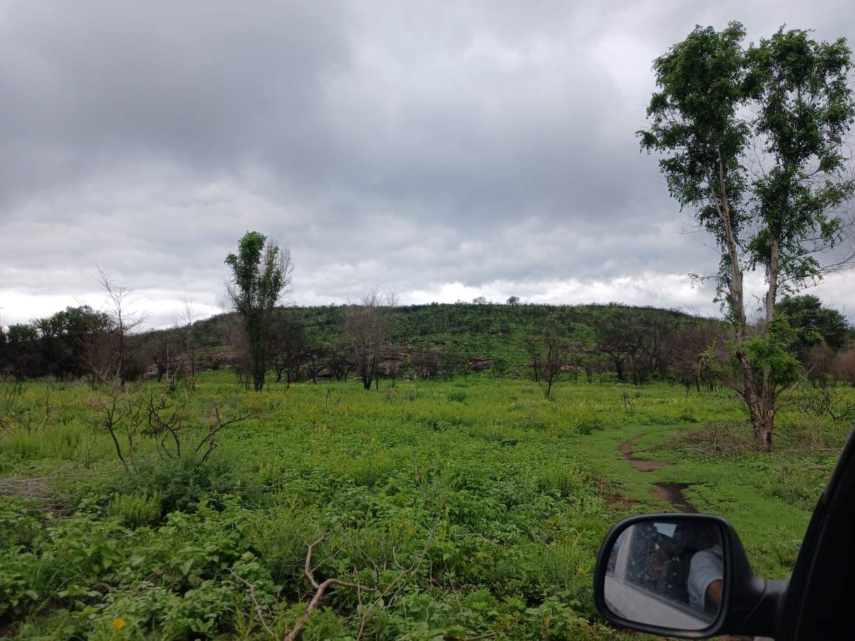 14 HECTAREAS CABALANGO