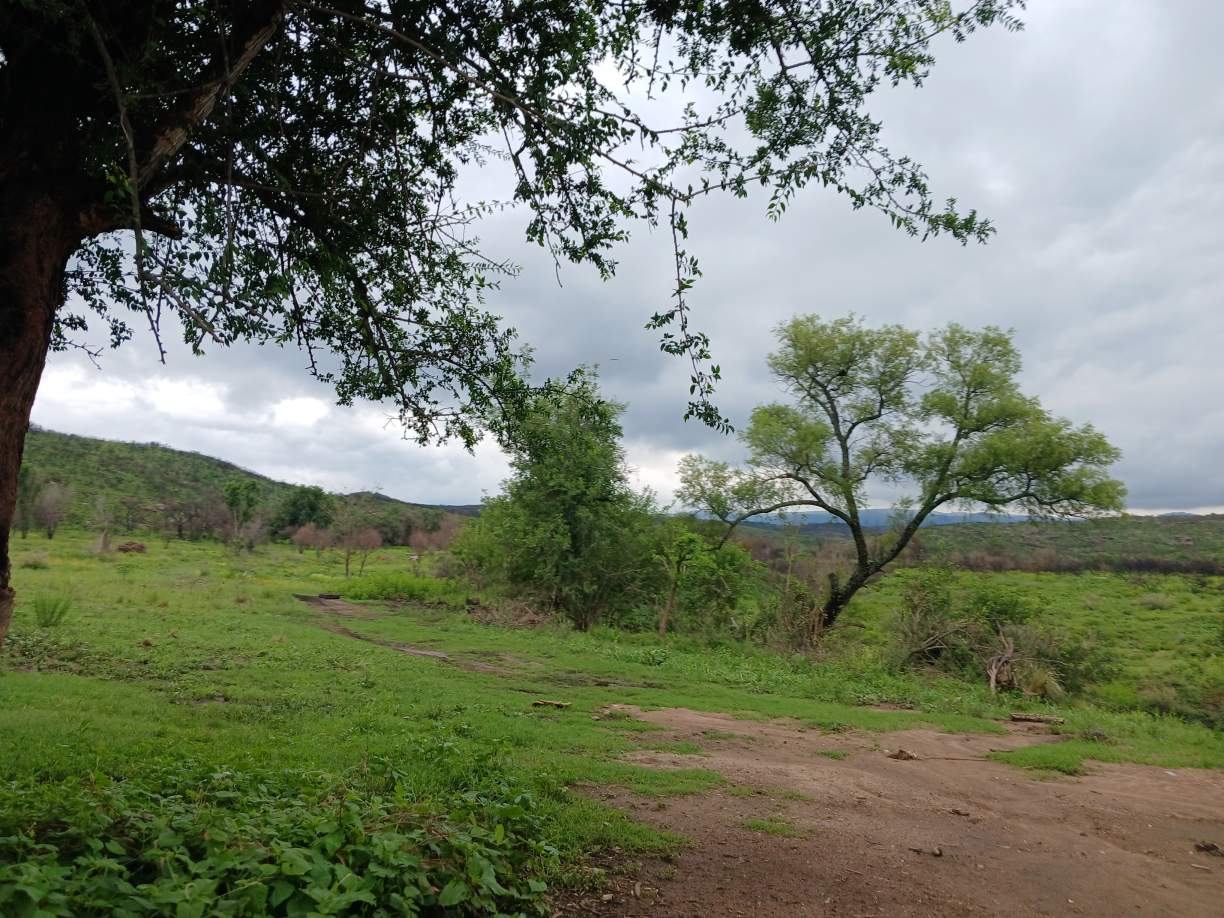 14 HECTAREAS CABALANGO