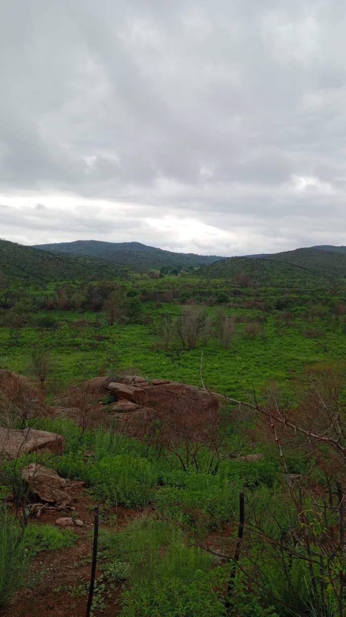 14 HECTAREAS CABALANGO