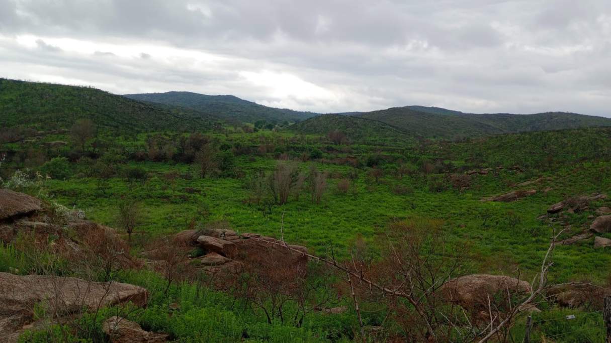 14 HECTAREAS CABALANGO