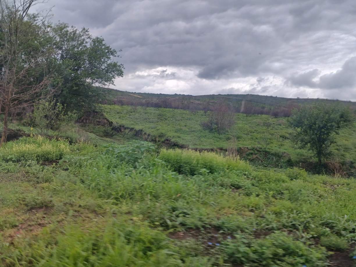 14 HECTAREAS CABALANGO