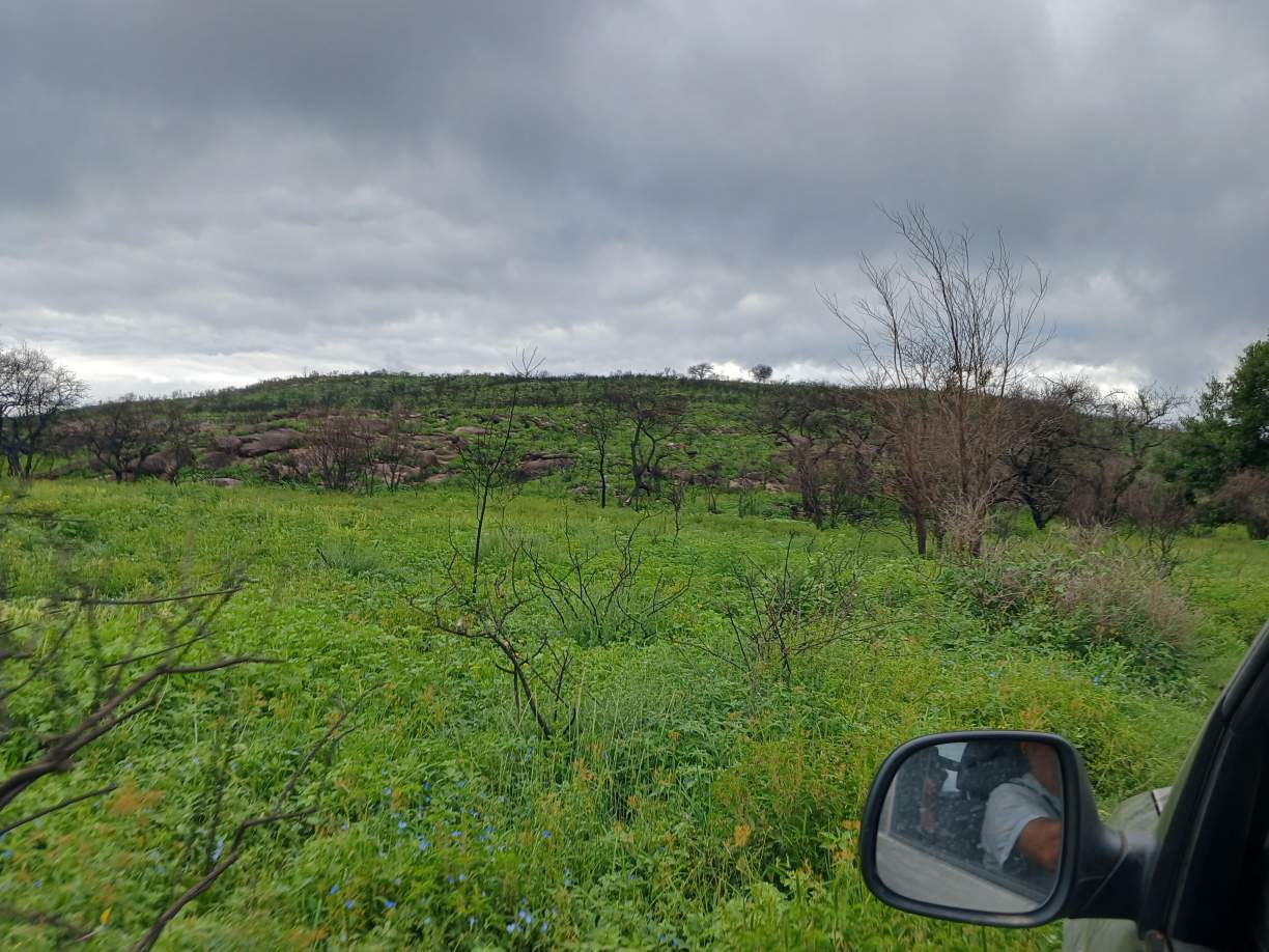 14 HECTAREAS CABALANGO