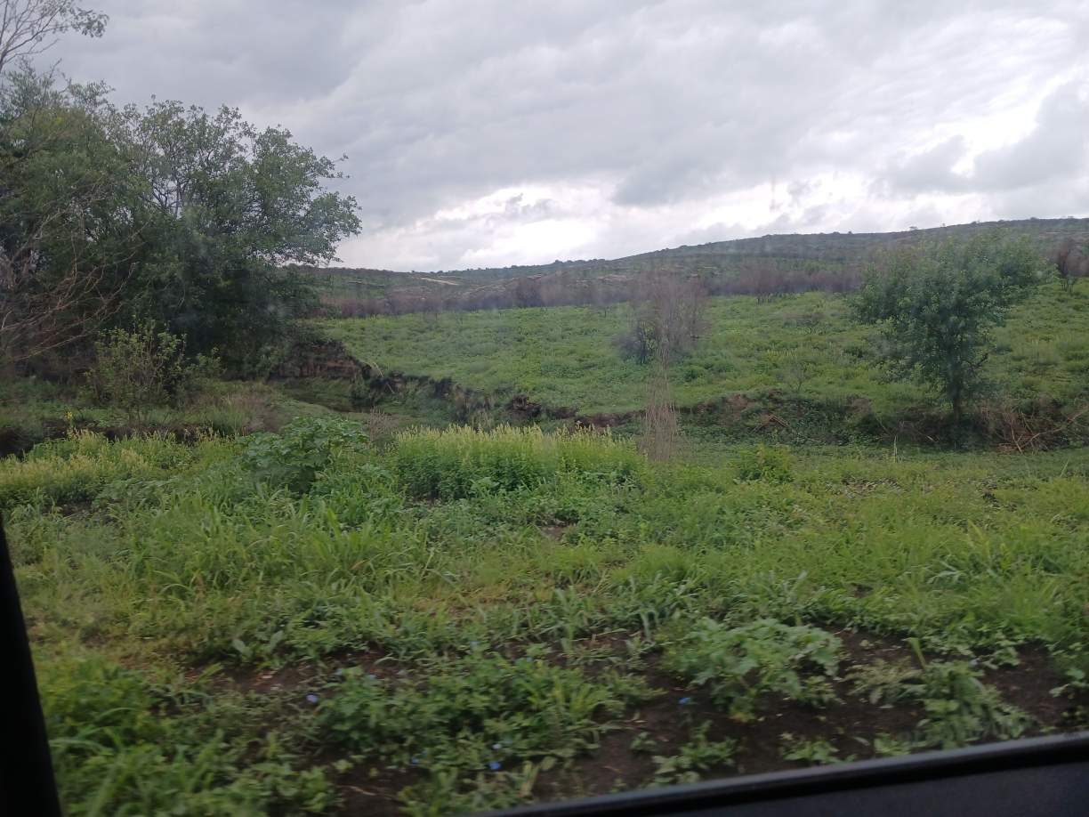 14 HECTAREAS CABALANGO