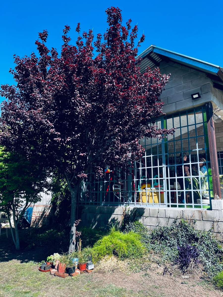 Hermosa casa de 3 habitaciones en Sta. Teresita Sta. Rosa de Calamuchita