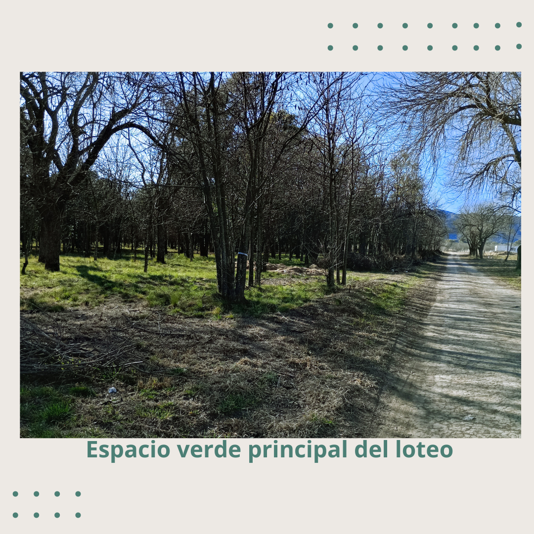 Lote en Venta Villa Ciudad Parque los Reartes