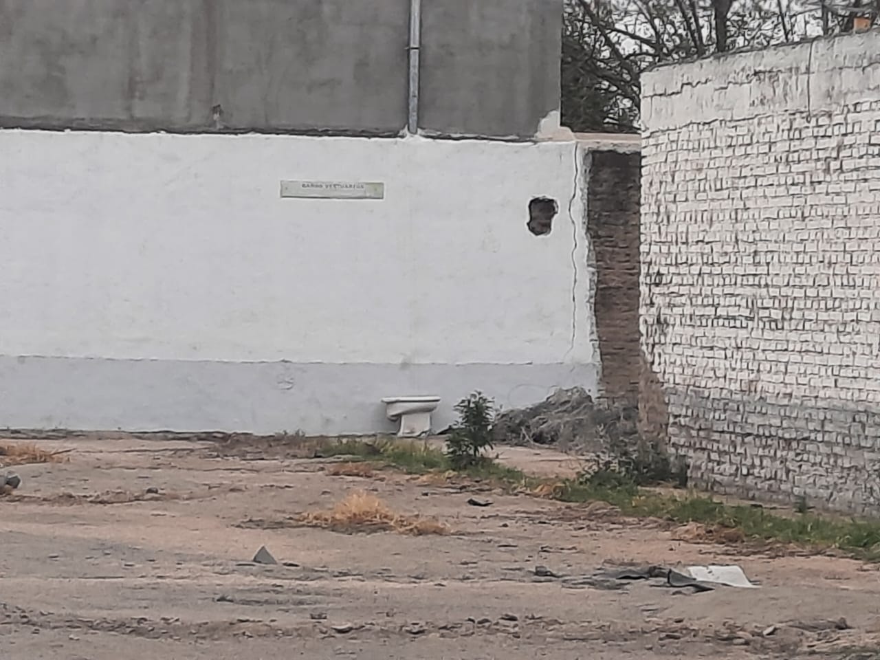 TERRENO EN ALQUILER EN BARRIO PRIMERO DE MAYO