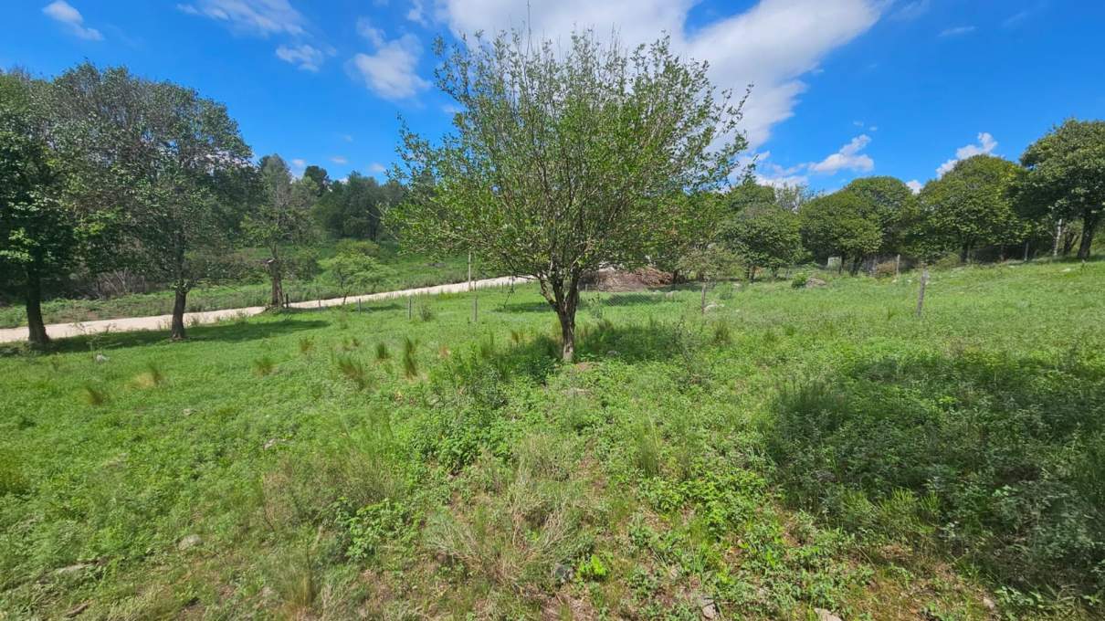 Venta lote en loteo Grune Villa General Belgrano