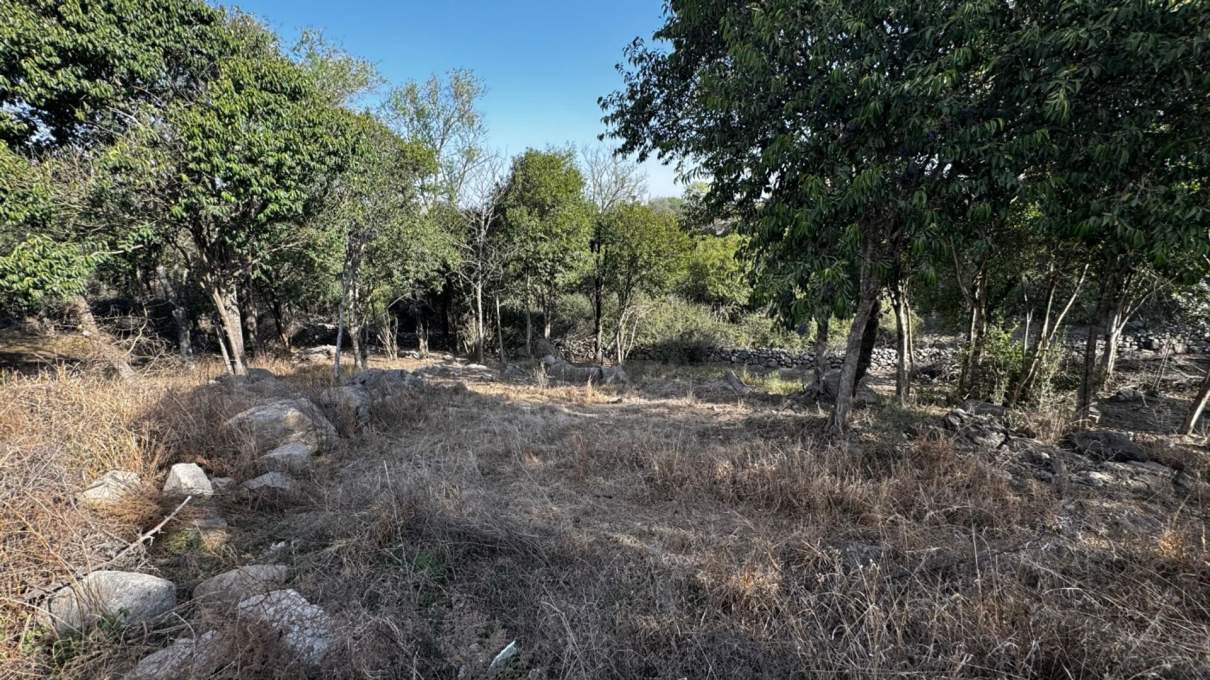 Venta lote en loteo Grune Villa General Belgrano
