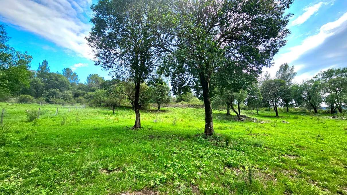 Venta lote en loteo Grune Villa General Belgrano