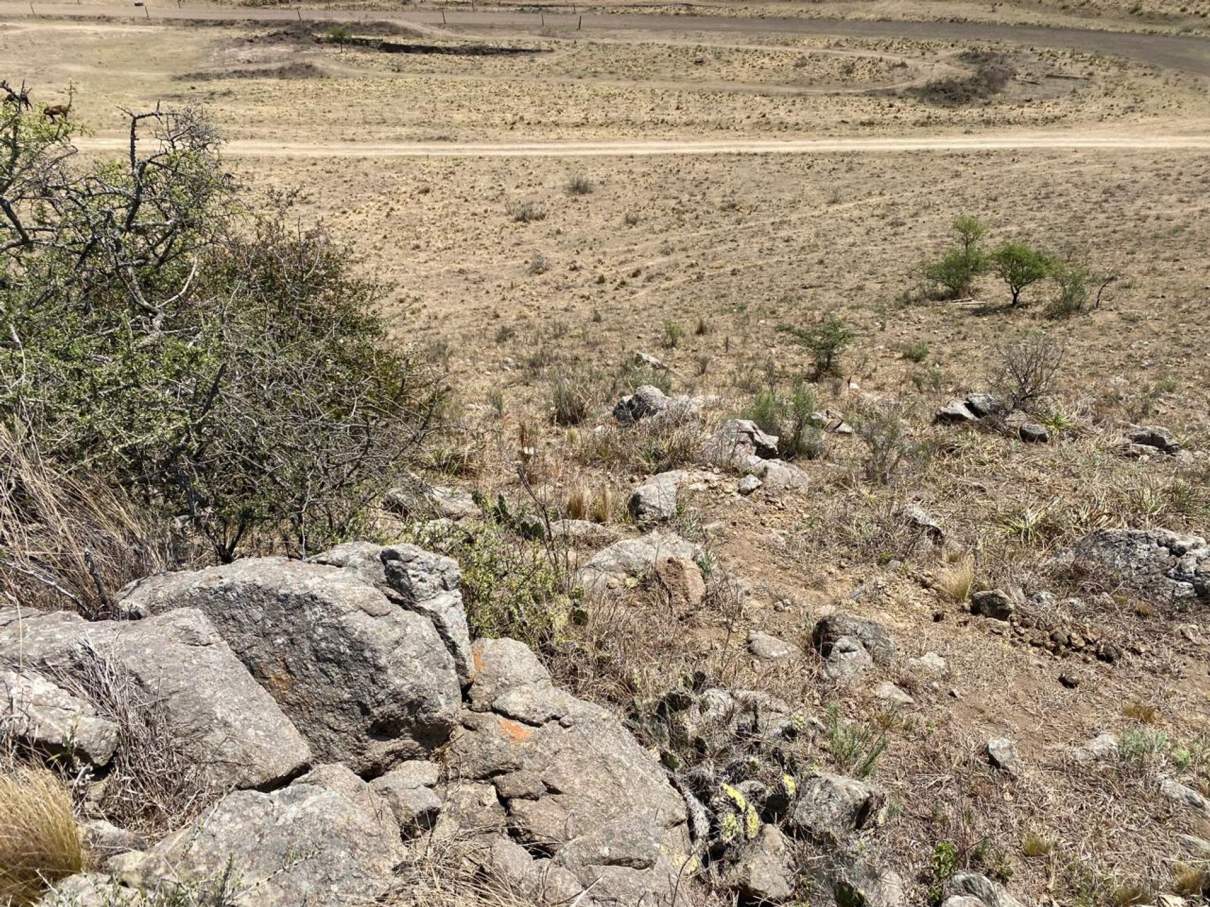 TERRENO 5000 MTS2 VILLA CIUDAD DE AMERICA