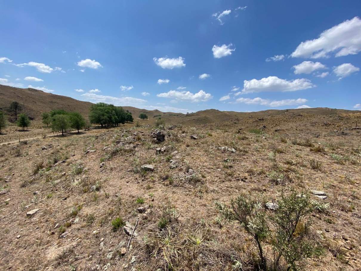 TERRENO 5000 MTS2 VILLA CIUDAD DE AMERICA